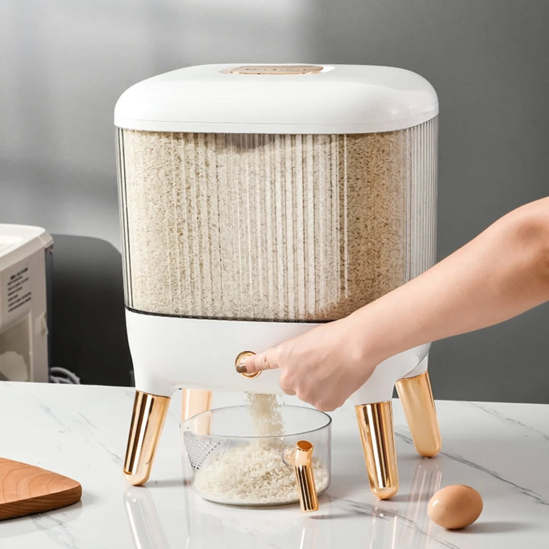 20Kg Rice Storage Container - My Store