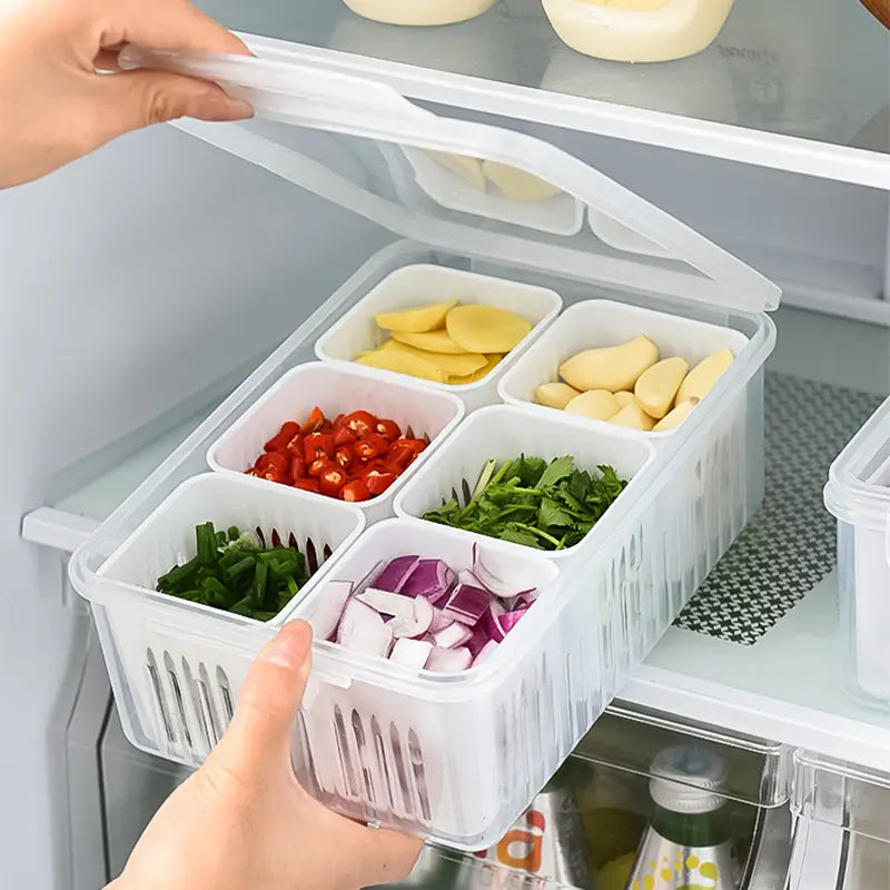 Refrigerator Food Storage Box - 6 Partition - My Store