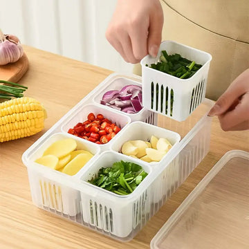Refrigerator Food Storage Box - 6 Partition - My Store