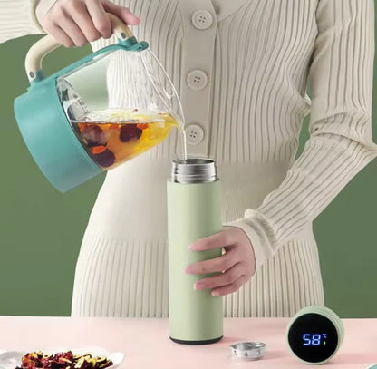 Stainless Steel Temperature Water Bottle 500Ml